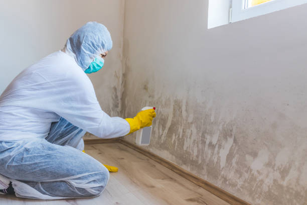 Mold inspector in Trenton performing thermal imaging